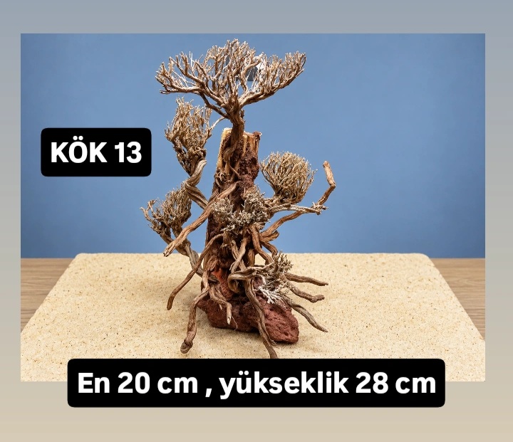 KÖK 13