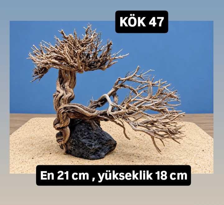 KÖK 47