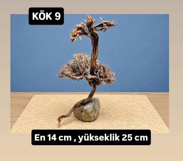 KÖK 9
