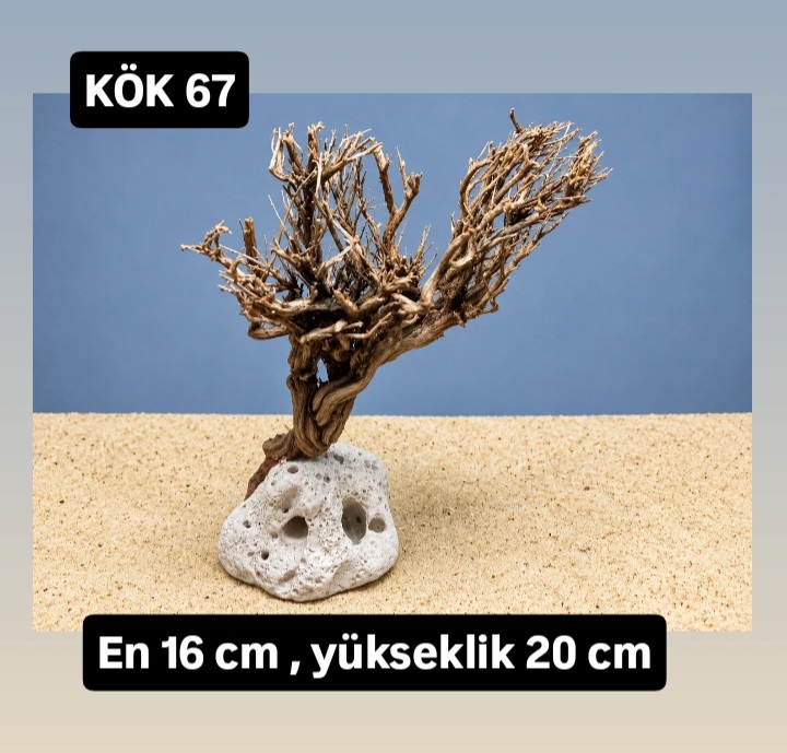 KÖK 67