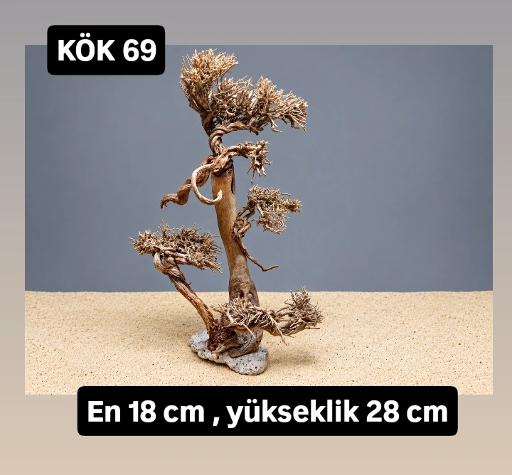 KÖK 69