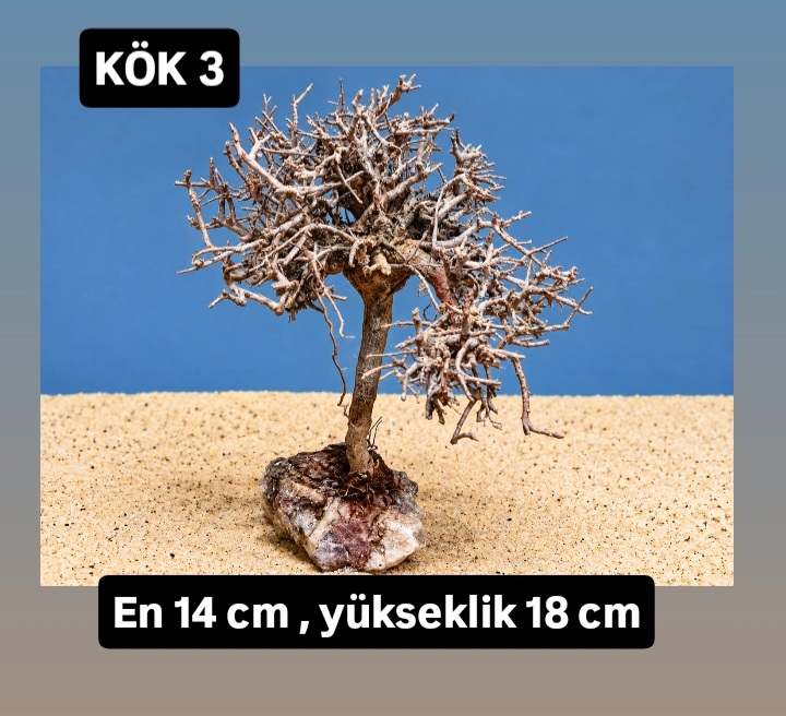 KÖK 3