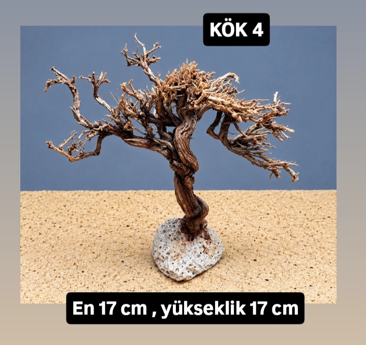 KÖK 4