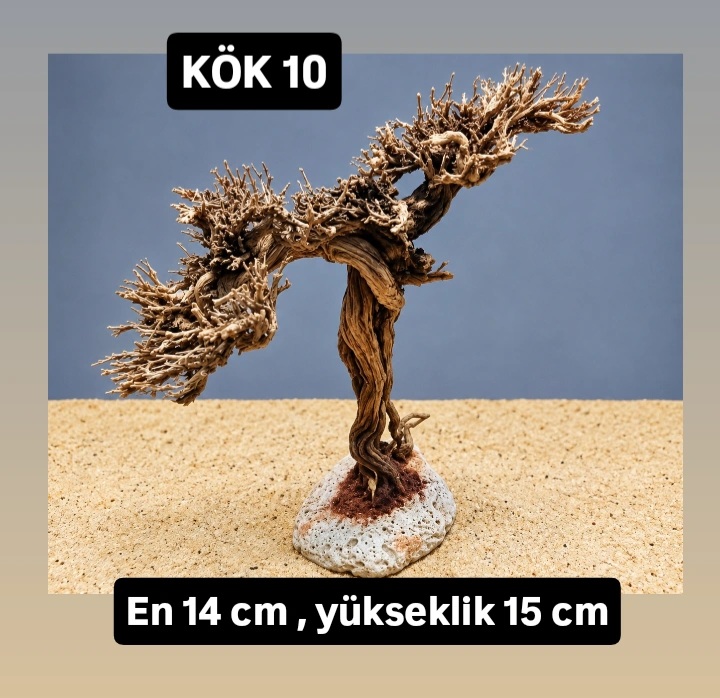 KÖK 10