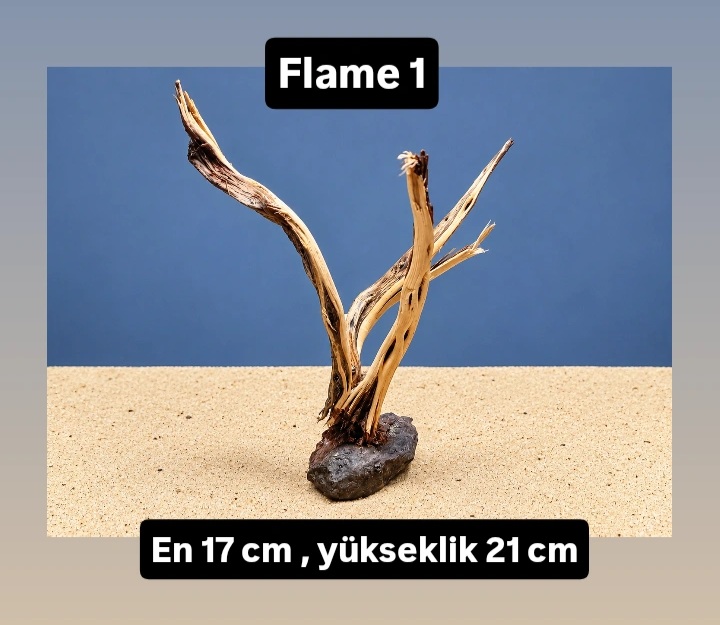Flame 1