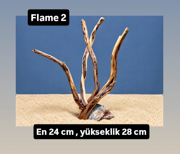 Flame 2