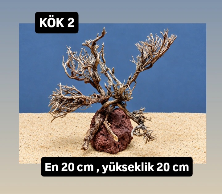 KÖK 2
