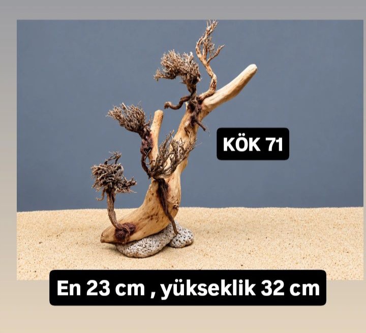 KÖK 71